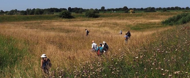 KNNV 125 jaar: Symposium burgerschap en biodiversiteit op 6 februari in Utrecht